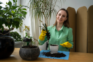 Mulher usando luvas e sabendo dicas de iniciantes na jardinagem.