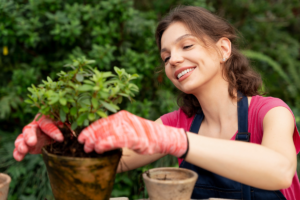 mulher ao cuidar de plantar para evitar insetos em plantas.