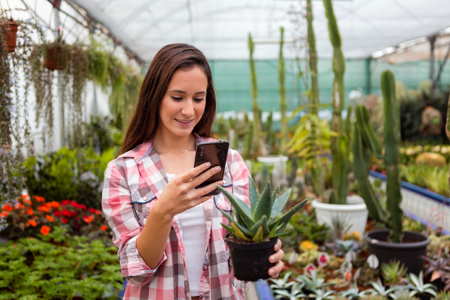 Mulher usando apps para identificar plantas e conferir espécie.