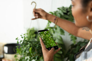 Mulher fotografando muda para usar apps para identificar plantas.