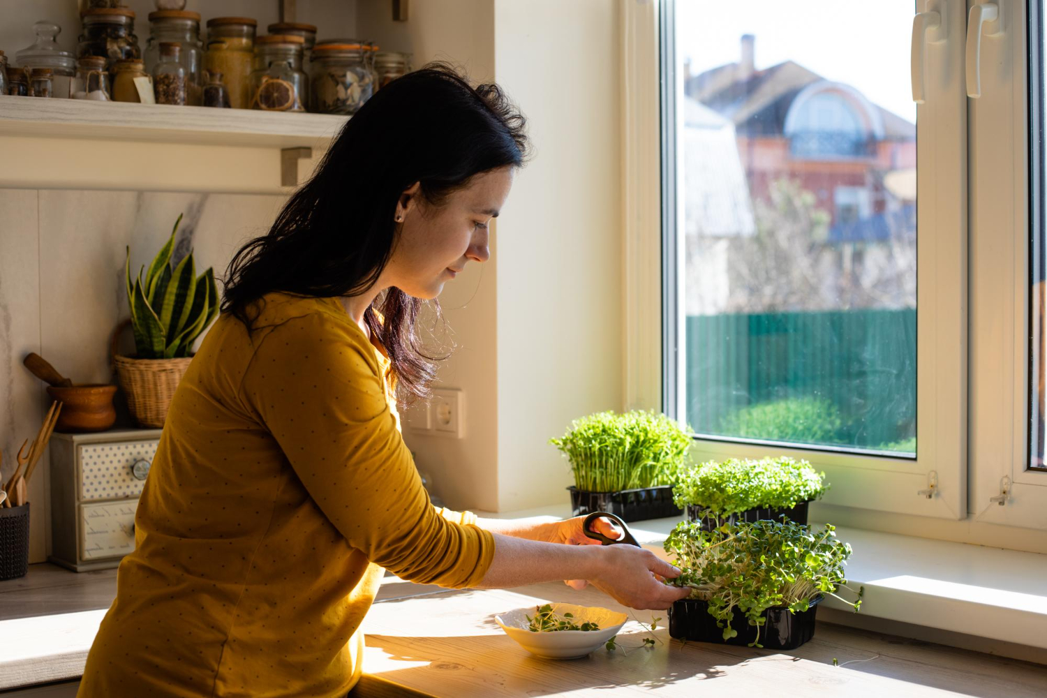 Mulher fazendo a Horta em apartamento.