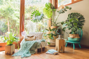 Sala de estar ao seguir dicas de como decorar a casa para o verão, com várias plantas.