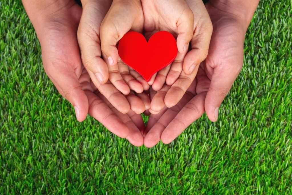 Life Insurance: Understand Its Importance and How It Works