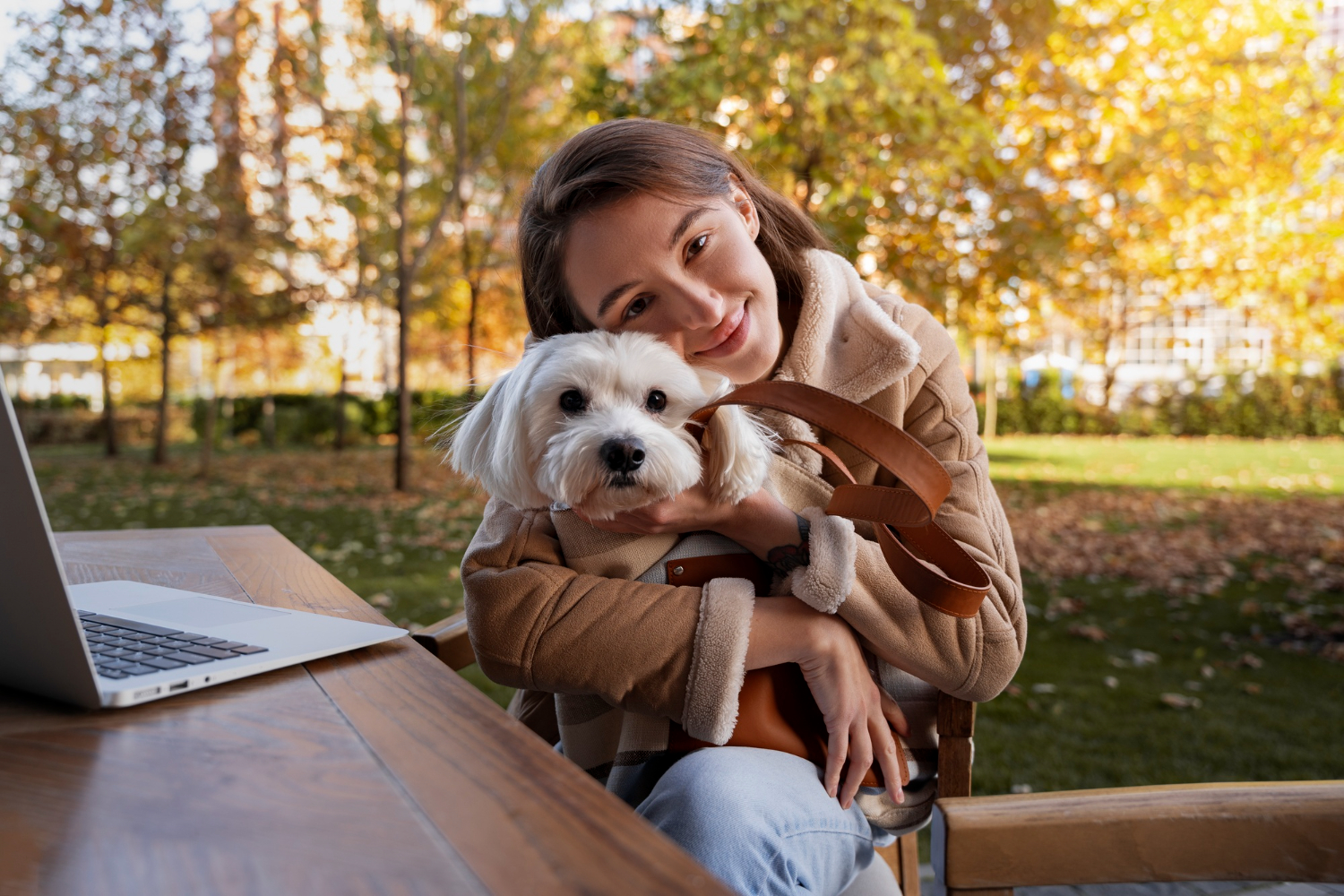 Pet insurance for young dogs