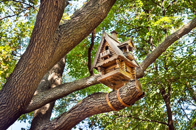 How to Build a Birdhouse from Scrap Wood: A DIY Guide
