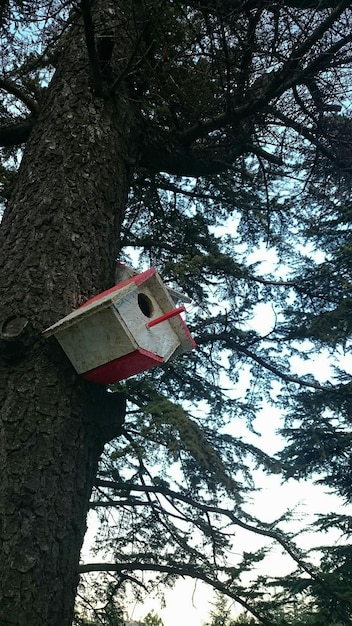 A finished birdhouse, painted in a subtle green, mounted on a tall pole with a squirrel baffle attached below it, set against a blurred background of a lush garden with trees.