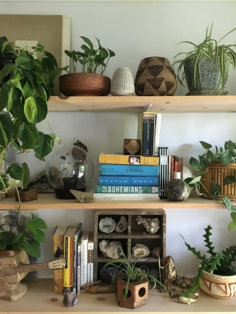 A well-organized living room shelf with neatly stacked books, a few small decorative items, and a plant in a simple planter, showing effective use of space and decluttering.