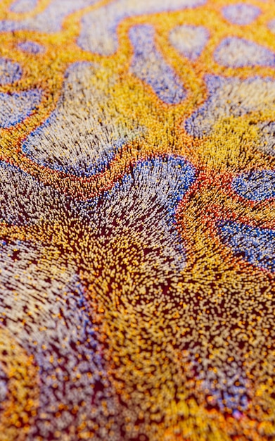 A close-up of a richly patterned, multi-colored rug with intricate details, highlighting the texture and design.