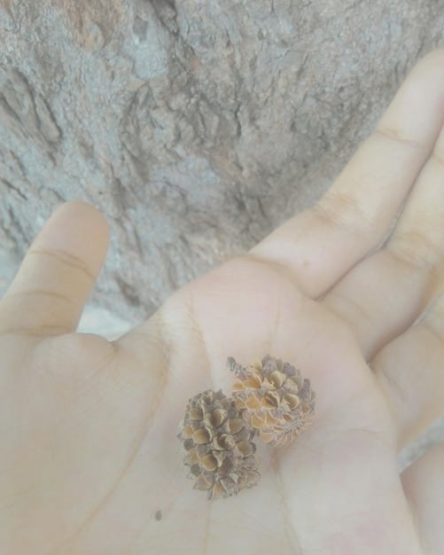 A close-up of a woman's hand adorned with multiple rings featuring irregular, molten-metal-like textures and organic shapes, against a blurred background of a natural, earthy setting.