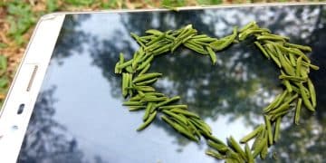 Sustainable Tech: Eco-Friendly Gadgets Trending in 2025 - Cover Image