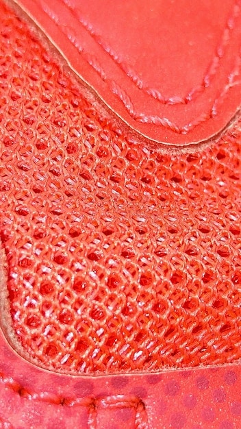 A close-up shot of a sneaker's sole, showcasing intricate patterns and textures made from bio-based rubber compounds. The design emphasizes natural elements and sustainability, with subtle leaf or organic motifs embedded in the material.