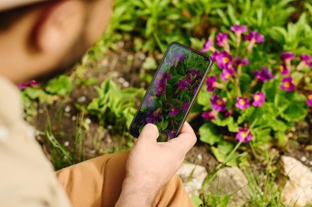 A close-up of a gardener using a smartphone app to check the real-time data from a soil moisture sensor embedded in a potted plant on a patio. The app displays clear graphs and numerical values, with healthy green leaves in the background.