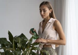 Sustainable beauty innovations